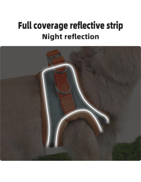 Arnés Ajustable para Conejo SQUSIMEI con Tira Reflectante - S