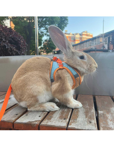 Arnés Ajustable para Conejo SQUSIMEI con Tira Reflectante - S