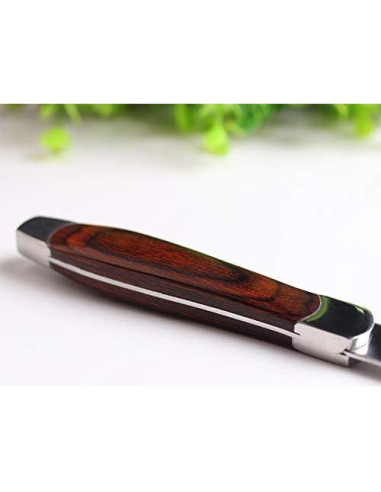 Cortador de Callos Allura Hoshio con 10 Cuchillas y Lima