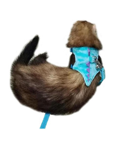 Arnés Chaleco para Mascotas Pequeñas MQQYLBHDS Dinosaurio Azul