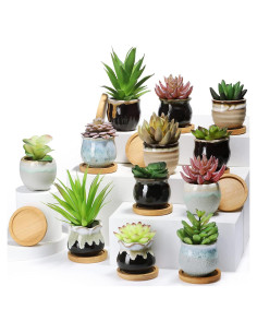 12 Macetas Cerámicas para Suculentas Remerry 2.5" con Drenaje