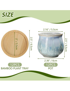 12 Macetas Cerámicas para Suculentas Remerry 2.5" con Drenaje 2