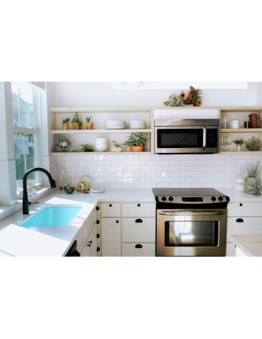 Kit Terrario de Vidrio con Plantas de Aire Tillandsia - 11.4 cm