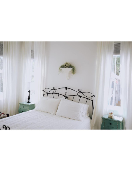 Kit Terrario de Vidrio con Plantas de Aire Tillandsia - 11.4 cm Kit Terrario de Vidrio con Plantas de Aire Tillandsia - 11.4 cm