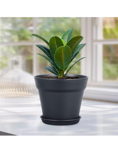 Macetas de Plástico Negras 10 cm - Paquete de 16 Meowell