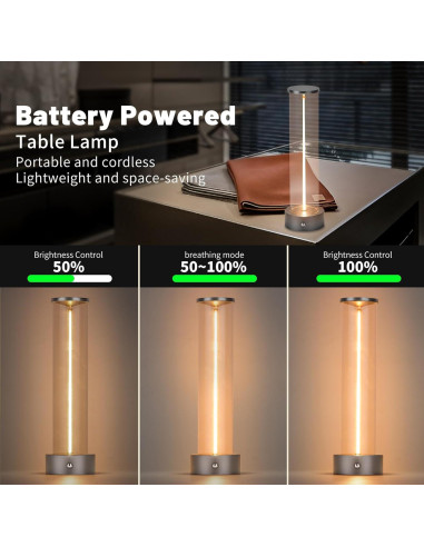 Lámpara de Mesa LED Inalámbrica YYXGOOB C-Silver 3 Niveles