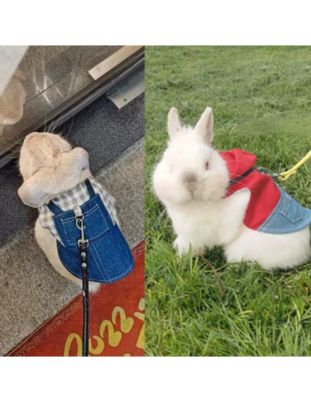 2 PCS Arnés y Correa para Conejo y Gatito MERCRI - Pequeño