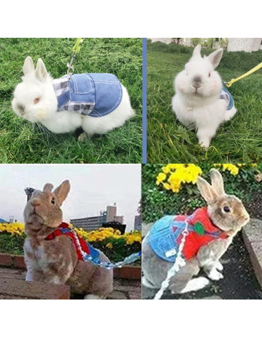2 PCS Arnés y Correa para Conejo y Gatito MERCRI - Pequeño
