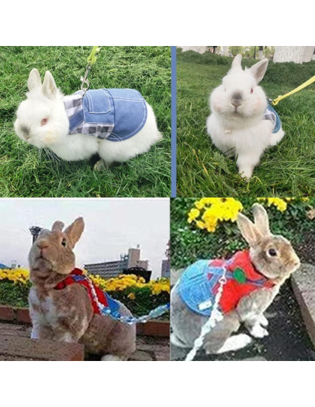 2 PCS Arnés y Correa para Conejo y Gatito MERCRI - Pequeño