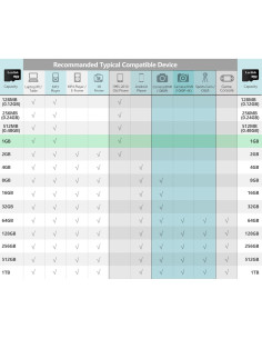 Tarjeta Micro SD 1GB Lerdisk - Paquete de 6 con Adaptador 2