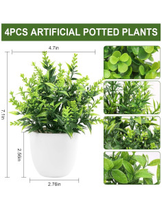 Plantas Falsas Der Rose en Macetas - Paquete de 4 Mini Plantas 2