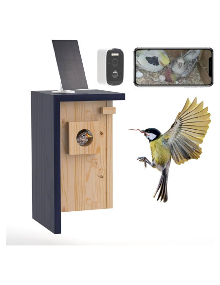 Cámara Inteligente para Casa de Aves WISDOMRAINBOW HD Solar