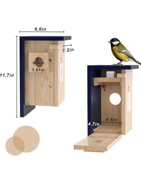 Cámara Inteligente para Casa de Aves WISDOMRAINBOW HD Solar