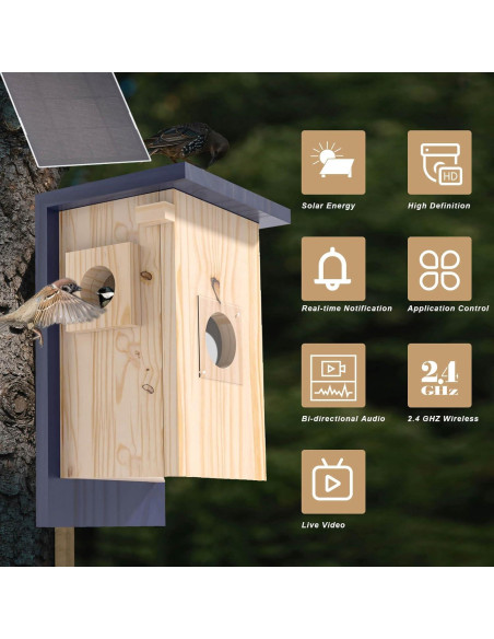 Cámara Inteligente para Casa de Aves WISDOMRAINBOW HD Solar