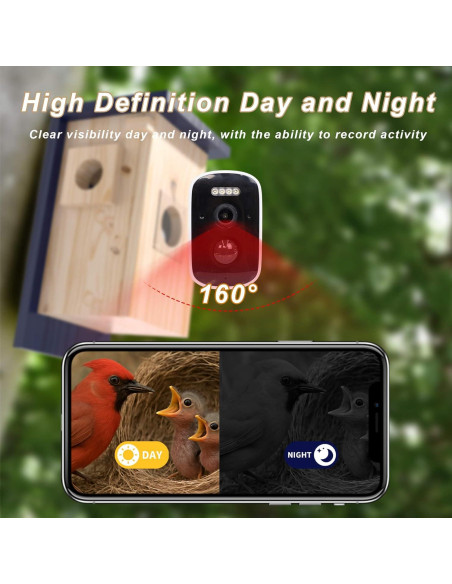 Cámara Inteligente para Casa de Aves WISDOMRAINBOW HD Solar