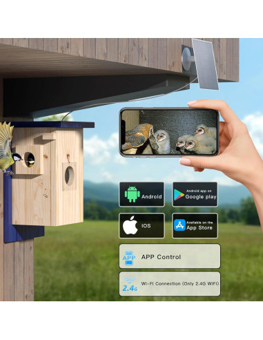 Cámara Inteligente para Casa de Aves WISDOMRAINBOW HD Solar