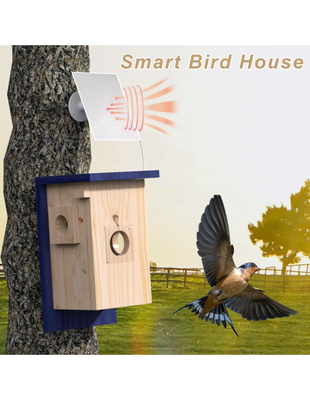 Cámara Inteligente para Casa de Aves WISDOMRAINBOW HD Solar