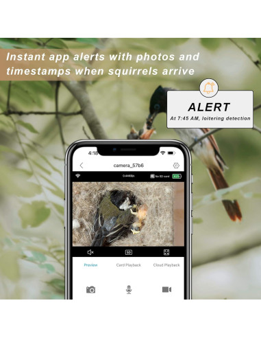 Cámara Inteligente para Casa de Aves WISDOMRAINBOW HD Solar