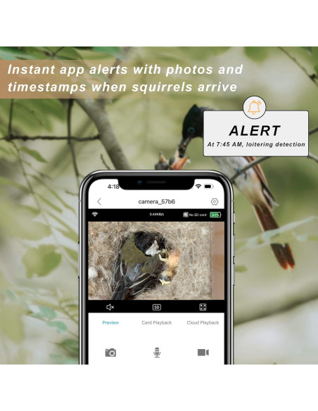 Cámara Inteligente para Casa de Aves WISDOMRAINBOW HD Solar