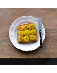 Juego de 2 cuchillos para untar Sabre Paris Bistrot Vintage 2