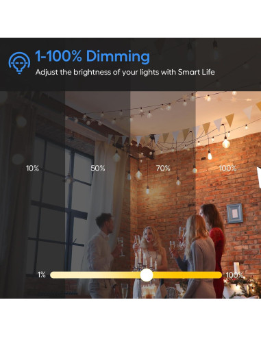 Enchufe Regulador Inteligente Eva IP65 WiFi 400W Negro