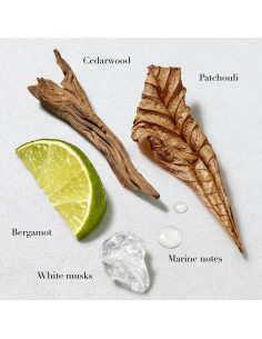 Desodorante Acqua di Gio Armani Beauty 132.49 g Fragancia 2