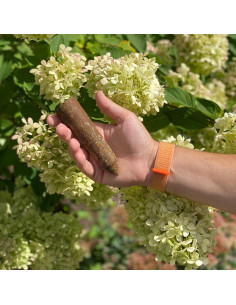 Picos de Fertilizante SimplyGro para Cítricos y Frutales - 12 Picos 2