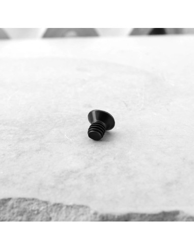 10 Tornillos de Cabeza Plana LT Easiyl M4 6mm Compatible Milwaukee