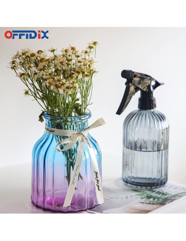 Botella Spray de Vidrio OFFIDIX 0.4L Boquilla Ajustable Gris