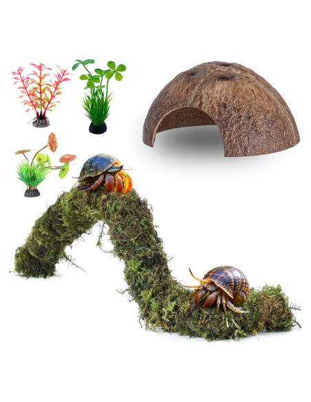 Accesorios para Cangrejo Ermitaño Mechpia - 5 Piezas Naturales