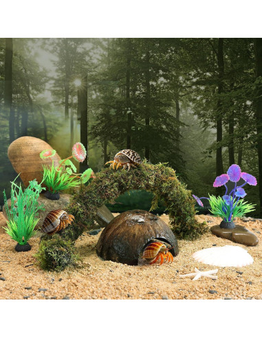 Accesorios para Cangrejo Ermitaño Mechpia - 5 Piezas Naturales