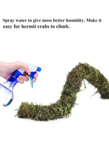 Accesorios para Cangrejo Ermitaño Mechpia - 5 Piezas Naturales