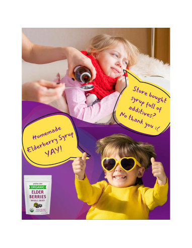 Baya de Saúco Orgánica Secas Pristine Nutri 0.45 kg