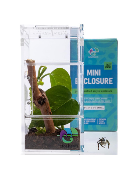 Recinto para Arañas Saltadoras EctoTherm 7.6x7.6x15.2cm