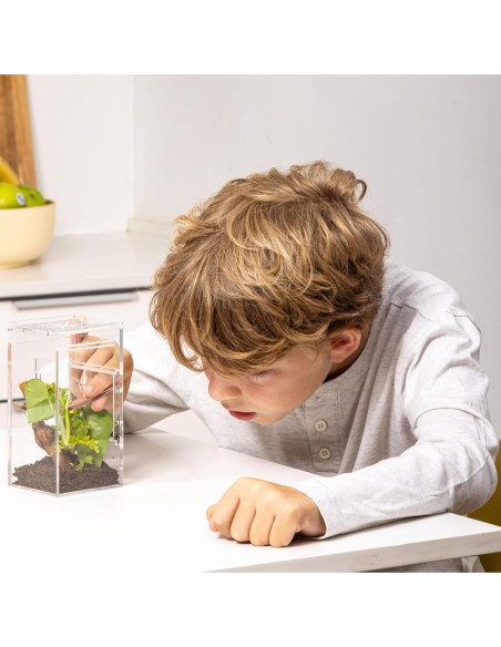 Recinto para Arañas Saltadoras EctoTherm 7.6x7.6x15.2cm