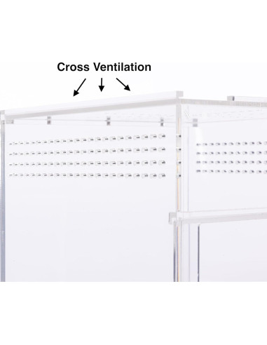 Recinto para Arañas Saltadoras EctoTherm 7.6x7.6x15.2cm