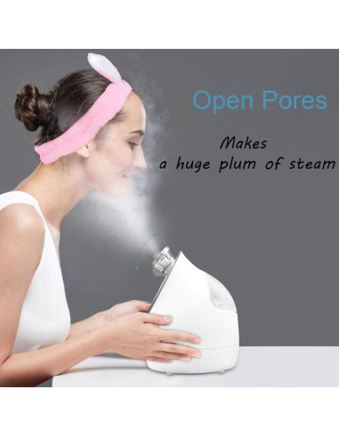 Vaporizador Facial Kingsmile KS-2300 Compacto 3 en 1 100ml