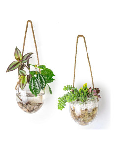 Maceta Colgante de Vidrio Ivolador para Plantas de Aire - Set de 2