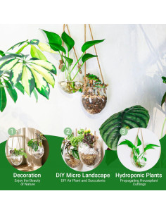 Maceta Colgante de Vidrio Ivolador para Plantas de Aire - Set de 2 2