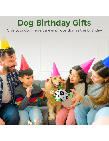 Pelota Interactiva para Perros QDAN con Control Remoto 330g