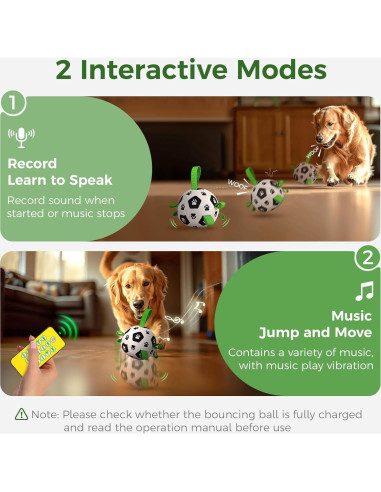 Pelota Interactiva para Perros QDAN con Control Remoto 330g