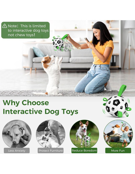 Pelota Interactiva para Perros QDAN con Control Remoto 330g