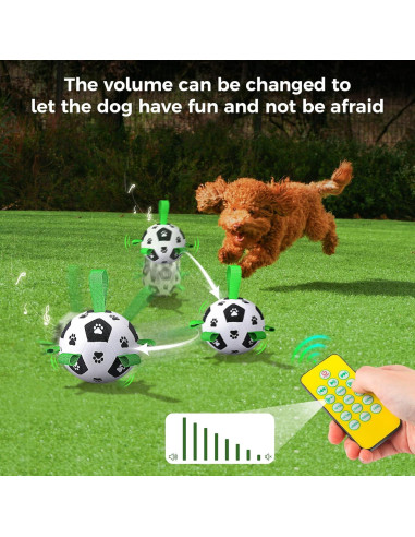 Pelota Interactiva para Perros QDAN con Control Remoto 330g