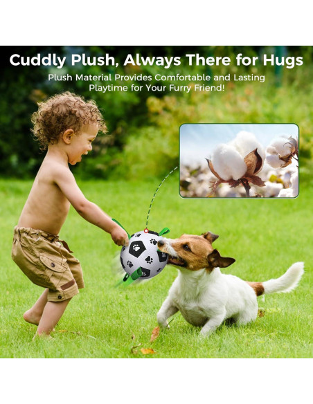 Pelota Interactiva para Perros QDAN con Control Remoto 330g