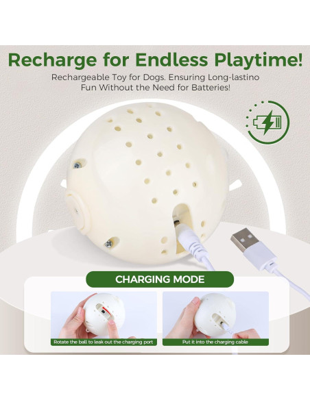 Pelota Interactiva para Perros QDAN con Control Remoto 330g