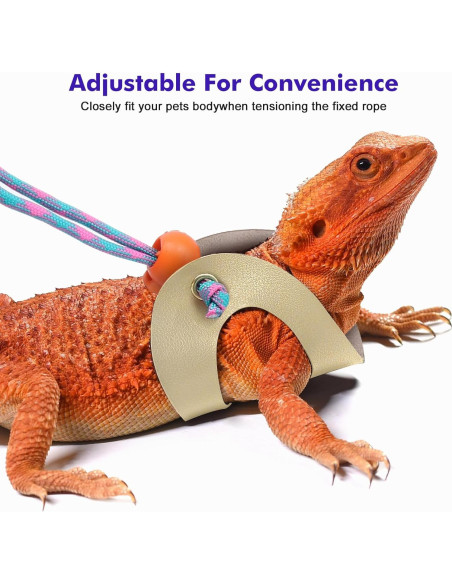 Arnés Ajustable para Lagartija Dragón Barbudo LIKZINWA - 4 Tamaños