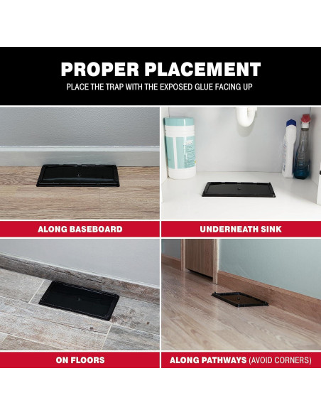 Trampas de Pegamento Catchmaster para Ratas y Ratones 2 Unidades