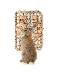 Alfombra Protectora de Hierba Marina Andwe con Juguetes 28x20cm