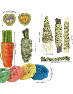 16 Juguetes para Hámster y Conejos Dbeans - Salud Dental 2