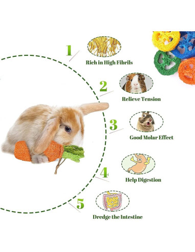 16 Juguetes para Hámster y Conejos Dbeans - Salud Dental